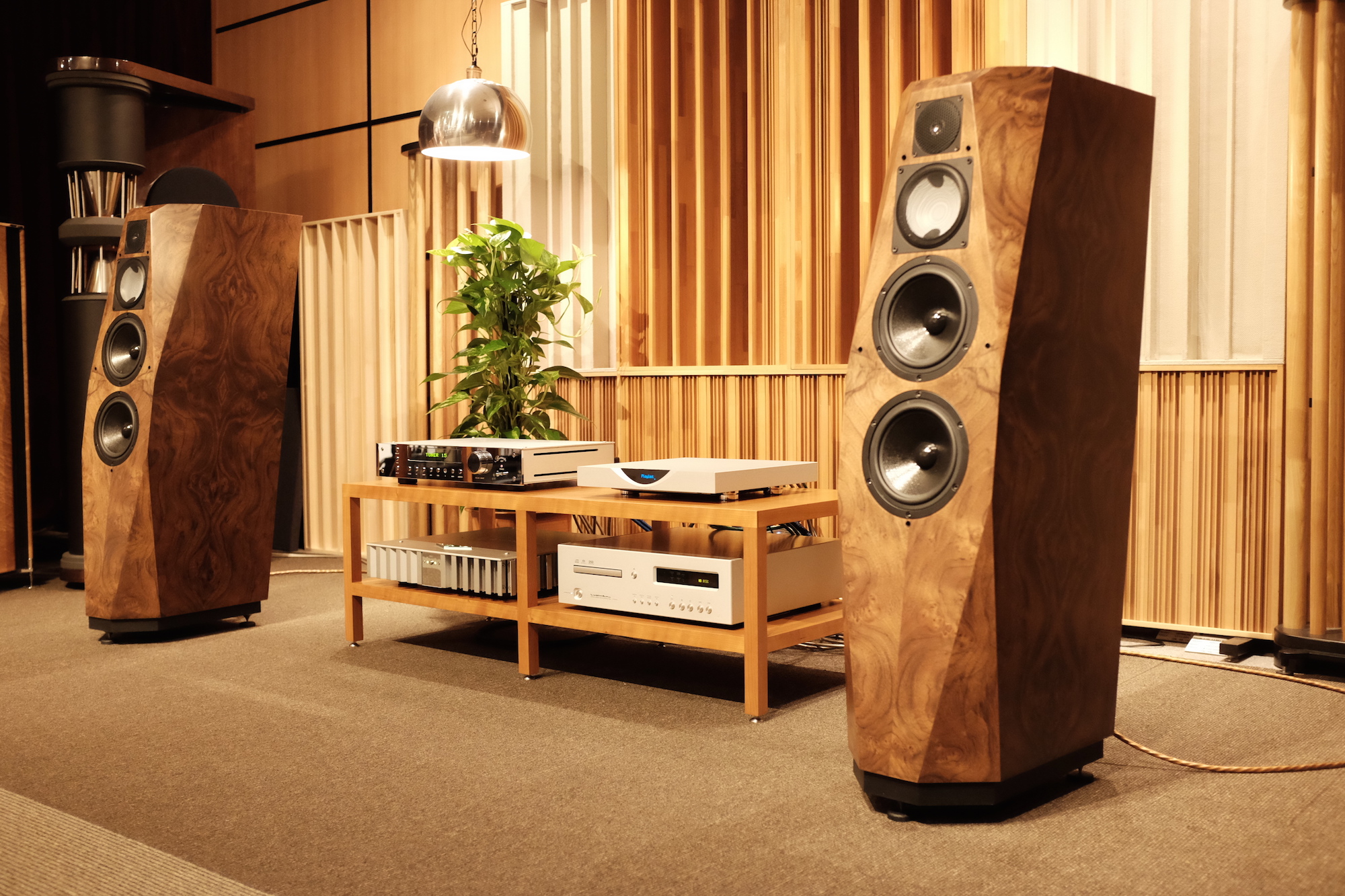 AVALON | Dynamicaudio 5555 3F