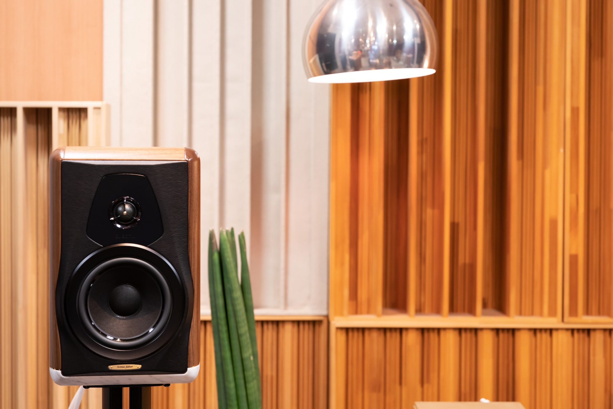 Sonus faber | Dynamicaudio 5555 3F