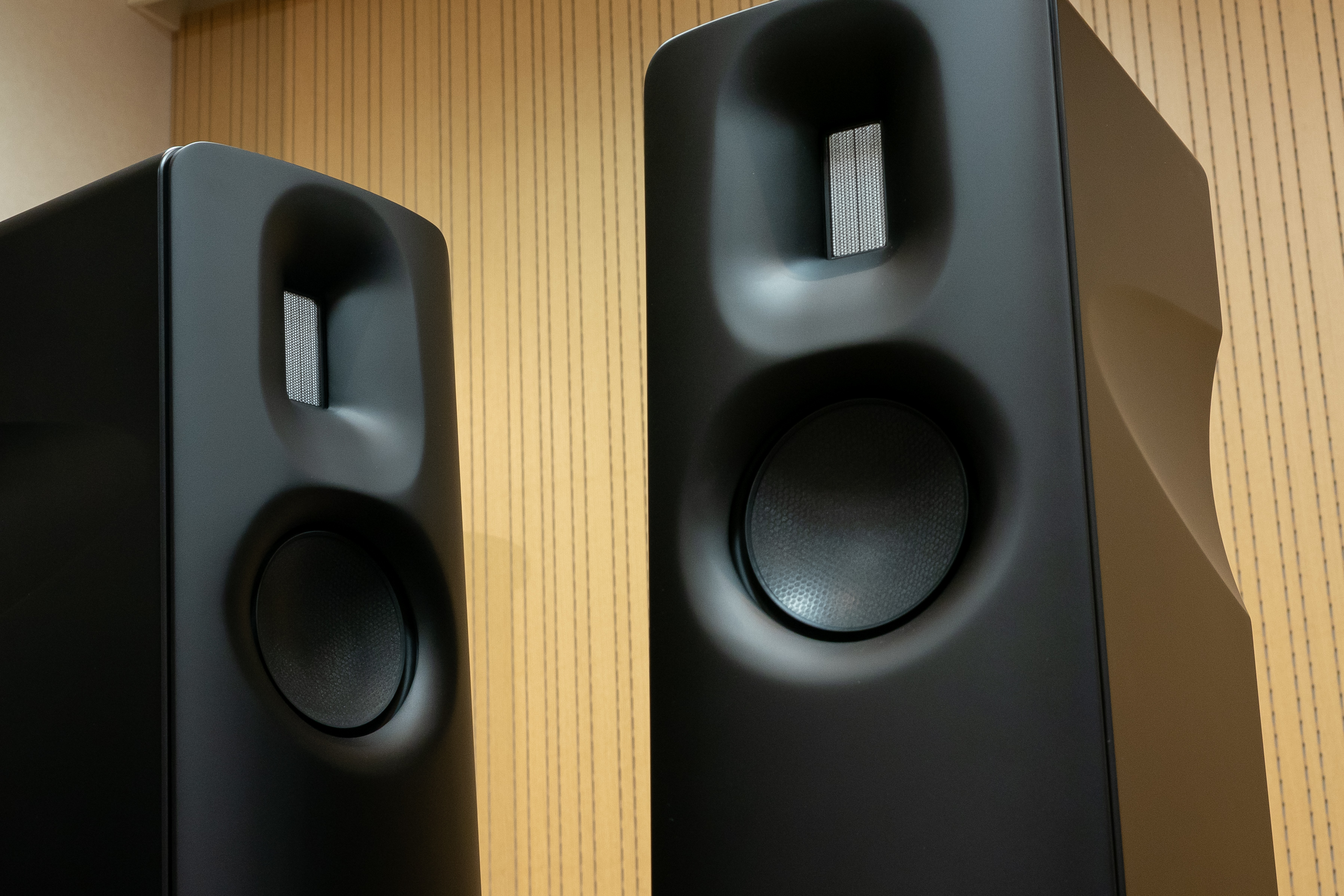 Børresen Acoustics | Dynamicaudio 5555 3F