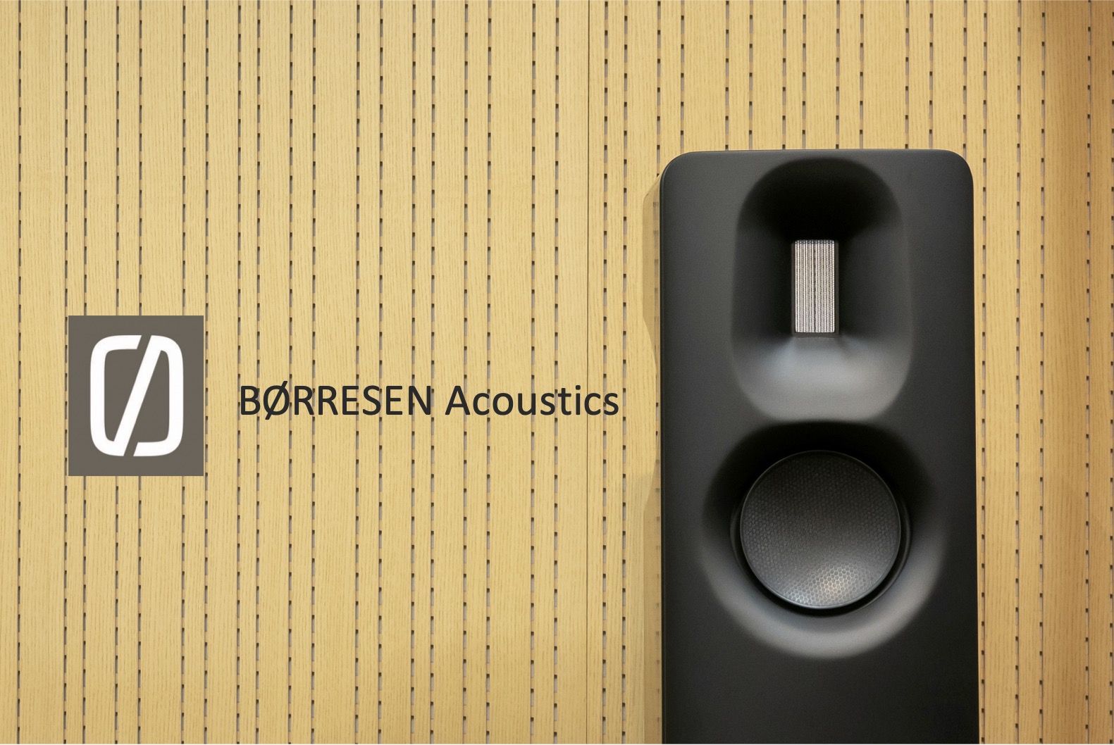 Børresen Acoustics | Dynamicaudio 5555 3F