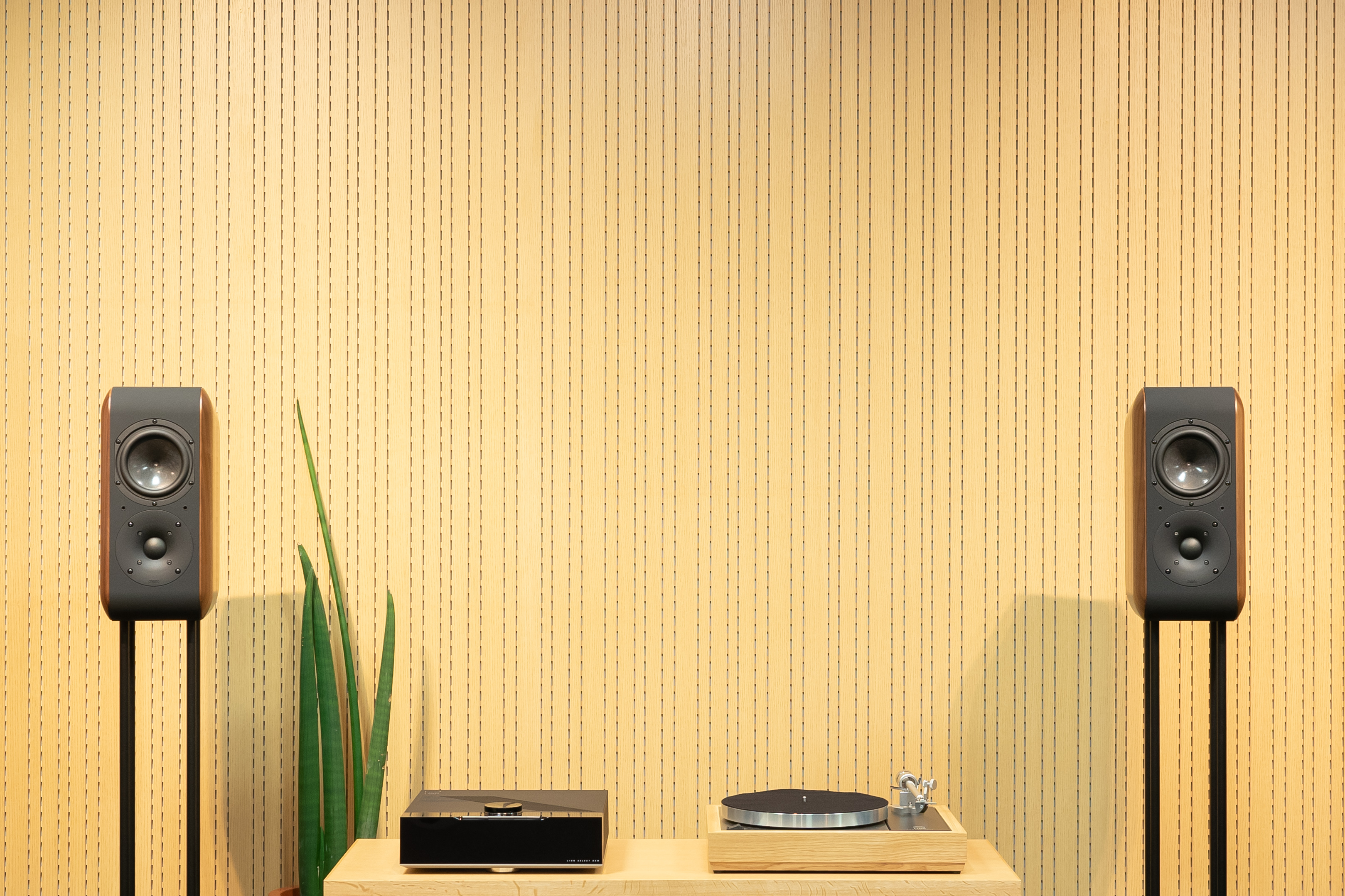 Chario | Dynamicaudio 5555 3F